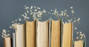 Biblioteka „Danilo Kiš“ Vrbas pokreće Čitalački klub: Prva radionica 19. marta