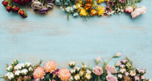 „Bazar lepih stvari” 7. i 8. marta u Vrbasu