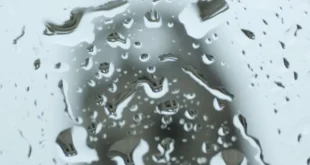 Vlasti Ekvadora proglasile vanrednu situaciju zbog obilnih kiša