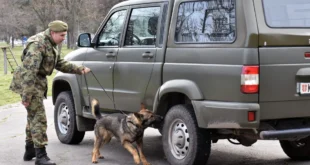 Elitna obuka u Nišu- Kako se dresiraju psi Vojske Srbije