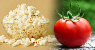 Kineski naučnici razvili genetički modifikovan paradajz sa aromom kokica