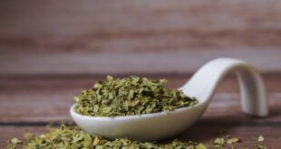 Ova biljka vekovima fascinira stručnjake, zovu je i "čudotvorno drvo": Prirodni saveznik dobrog imuniteta