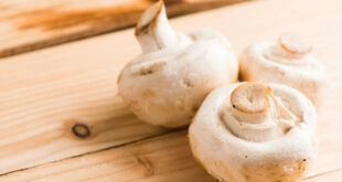Mogu potpuno da im unište ukus i teksturu- Pet grešaka u pripremi pečuraka koje mnogi prave