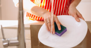 Džabe čistite: Redovno menjajte ove tri stvari, šire bakterije po celom domu