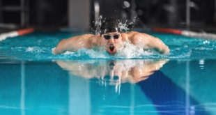 Četiri decenije PK „Vrbas“