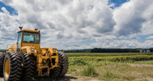 Država isplatila više od 131 milijarde dinara za poljoprivredu