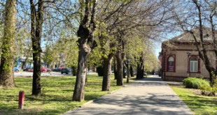 Danas sunčano i toplo u Vrbasu