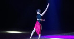 Plesni klub „PSN“ obeležava 20 godina rada plesnom predstavom