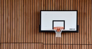 Košarkaši „Vrbasa“ slavili protiv šampiona