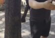 Skandal u Subotici: Taksista blokader pratio starca do kuće – slučaj prijavljen policiji!