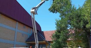 U Savinom Selu uklonjeno stablo koje je ugrožavalo bezbednost dece