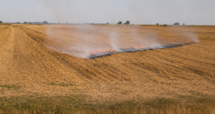 Visoke temperature i suša povećavaju rizik od požara: Apel da se ne pale žetveni ostaci