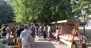 Festival mađarske kuhinje i tradicije okupio brojne posetioce u centru Vrbasa