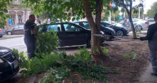 U toku košenje trave i orezivanje drveća oko raskrsnica u Vrbasu
