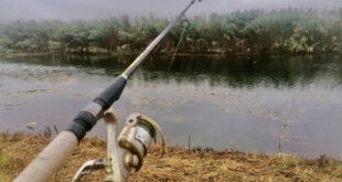 „Štukijada“ u Savinom Selu 17. oktobra, prijave do četvrtka