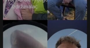 Studentski mobilni timovi Srema!