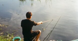 „Štukijada“ sutra okuplja ribolovce na Šlajzu u Vrbasu