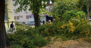 Foto: JKP „Komunalac" Vrbas