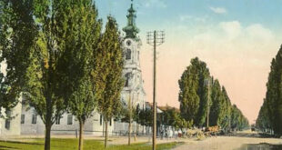 Torža: Nekadašnje lice Savinog Sela