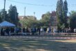 „Vrbas kup“ okupio 95 pasa iz 11 država